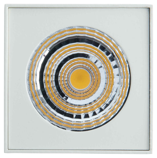 BG LKT2021B Dwn/Lgt LED 12W 16Deg Whi - BG - sparks-warehouse