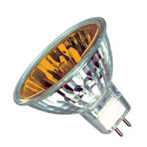 Halogen Light Bulbs