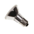 PAR20 50W ES / E27 Spot Bulb