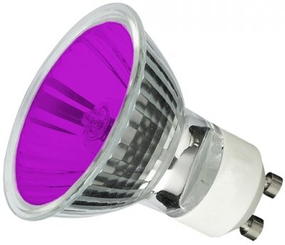 Casell P1650FL-PU-CA - GU10 50W Spot Bulb - Purple - Casell - sparks-warehouse
