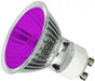 Casell P1650FL-PU-CA - GU10 50W Spot Bulb - Purple - Casell - sparks-warehouse