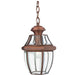 Elstead - QZ/NEWBURY8/M AC Newbury 1 Light Medium Chain Lantern - Aged Copper - Elstead - Sparks Warehouse